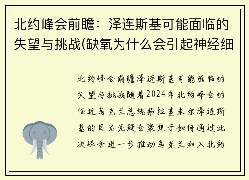 北约峰会前瞻：泽连斯基可能面临的失望与挑战(缺氧为什么会引起神经细胞兴奋性降低)